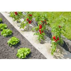 Paillage naturel 50 x 300 cm - pour jardin et potager 100% biodégradable - 500 g/m2 de marque NORTENE , référence: J5305100