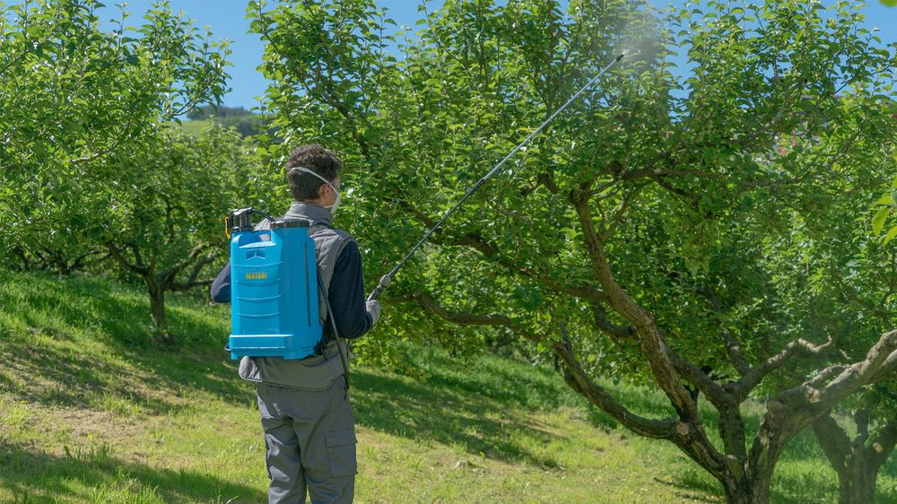 MATABI Rallonge telescopique pour pulvérisateur