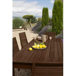 Huile V33 Protection mobilier opaque teck brun mat, 1 l - V33