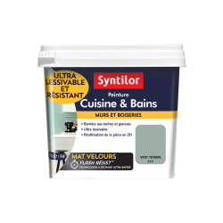 Peinture mur Cuisine et bains SYNTILOR vert tendre mat 0.75 l - SYNTILOR