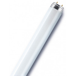 Fox Light Ampoule LED- haute puissance E27 30W 200° 3000K 2600Lm