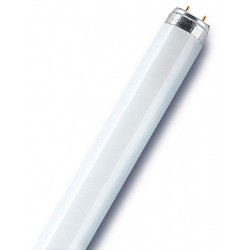 Tube fluorescent droit T8 opaque 950 Lm  70 W blanc, OSRAM de marque OSRAM, référence: B6398500