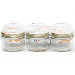 Lot de 6  terrines  FAMILIA WISS, 200 ml 100 - 350gr - LE PARFAIT