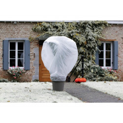 Lot de 2 rouleaux voile d'hivernage NORTENE Wintertex 30G/M2 - NORTENE 