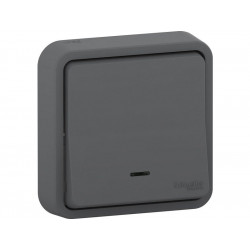 Poussoir lumineux étanche complet Mureva Styl, SCHNEIDER ELECTRIC, anthracite de marque SCHNEIDER ELECTRIC, référence: B8632200