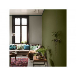 Peinture mur, boiserie et papier peint DULUX VALENTINE vert tropical satiné 0.5 - DULUX VALENTINE