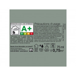 Testeur peinture vert nobile satiné intérieur RIPOLIN 75 ml - RIPOLIN