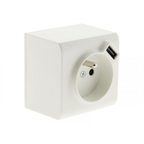 Prise avec terre et prise chargeur usb saillie, complet Besto, blanc - Sans marque