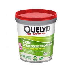 Colle pâte tous papiers peints QUELYD, 1 kg de marque Quelyd, référence: B8752500