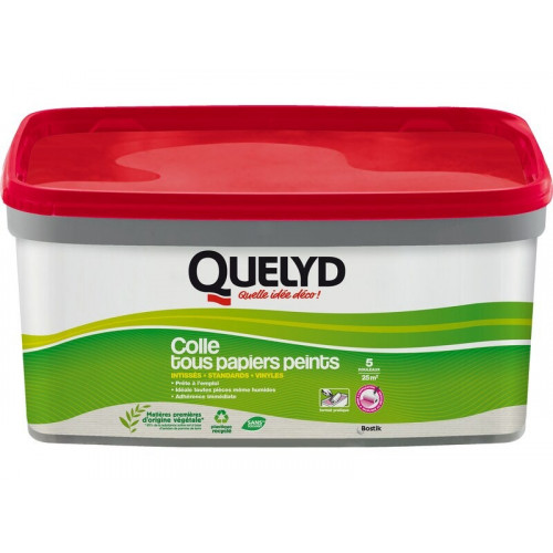 Colle Pate tous papiers peints QUELYD, 3 kg - Quelyd