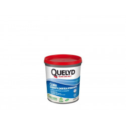 Colle Pate papier peint intisse QUELYD, 1 kg de marque Quelyd, référence: B8754500