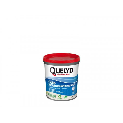 Colle Pate papier peint intisse QUELYD, 1 kg - Quelyd