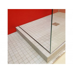 Barre de seuil pour porte de douche aluminium brillant 120 cm - Sans marque