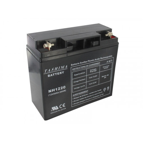 Batterie gel/agm 100% étanche pour tondeuses autoportées 12V, 20A - TASHIMA