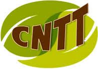 CNTT